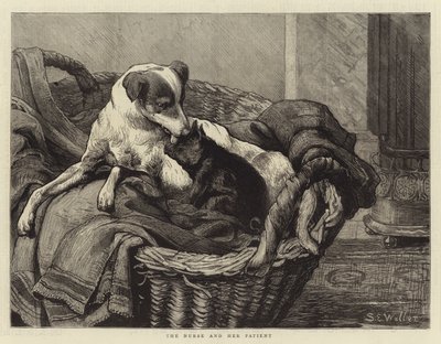 护士和她的病人 作者 塞缪尔·埃德蒙·沃勒